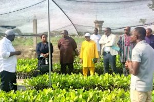 Bénin : Gaston Dossouhoui dévoile les principaux objectifs de la campagne agricole 2026-2027 