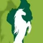 6è circonscription électorale/communales 2026 : ‎A Sô-Ava, les militants dénoncent les manœuvres des leaders du BR