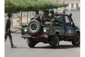 Coup d'Etat en Guinée-Bissau : l'opposition dénonce un « deux poids deux mesures » de la Cédéao 