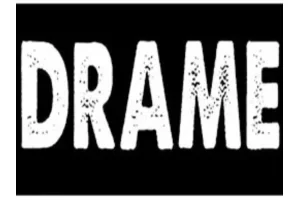 Malanville : un bus de la compagnie Baobab ravagé par les flammes