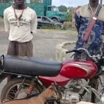Glazoué : 02 présumés cambrioleurs interpellés, des chèvres et une moto volées, saisies par la police