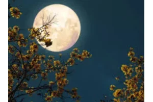 Pleine lune du 1er avril : Bélier, Cancer, Balance… trois signes face à une vague de révélations 