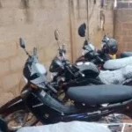 Couffo : un réseau de vendeurs d'œufs de caméléons et de serpents aux pouvoirs magiques débusqué, 2 millions FCFA, 8 téléphones et des motos saisis par la police