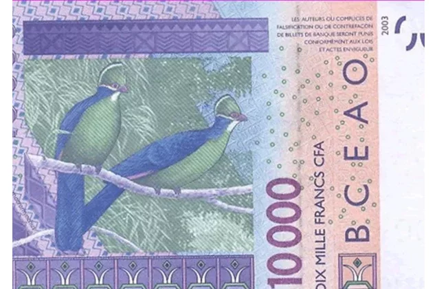 Bénin : Il vote 42 fois après avoir glissé 10.000 FCFA au président d'un poste de vote