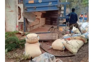  Côte d'Ivoire : 14 morts et 21 blessés enregistrés dans un accident de la circulation à Madinani