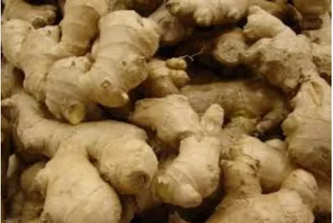 Bon à savoir : 05 aliments africains “super-héros” à mettre dans vos assiettes 