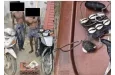 Abomey-Calavi : 02 repris de justice interpellés pour vol de motocyclettes à Godomey