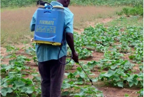 Bénin : L'État stoppe les activités phytosanitaires payantes de ses agents