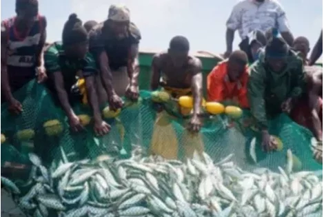 Togo : suspension de la pêche artisanale et industrielle