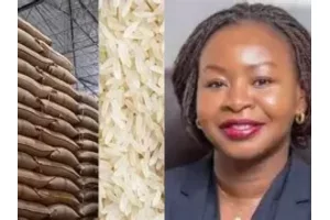 Bénin : les opérations de dédouanement du riz, désormais soumises à une autorisation annelle 