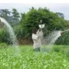 Agriculture au Bénin : le gouvernement annonce la construction de 60 retenues d'eau dans plusieurs localités