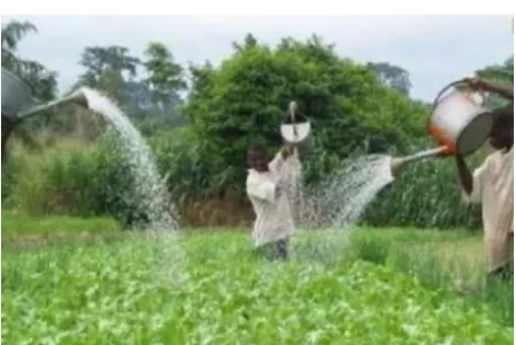 Agriculture au Bénin : le gouvernement annonce la construction de 60 retenues d'eau dans plusieurs localités