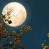 Pleine Lune du mois de juillet 2025 : une impulsion décisive pour ces 03 signes du zodiaque 