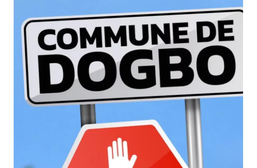 Dogbo : A la quête d'un ingrédient siprituel, un jeune chute d'un iroko et meurt sur-le-champ