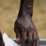 Législatives 2026 : voici le positionnement des logos des partis sur le spécimen