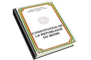 Assemblée nationale : une proposition de loi pour la révision de la constitution introduite par l'UP-R et le BR