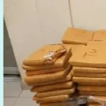 Bénin : 502 plaquettes de chanvre découvertes dans un camion à Malanville 