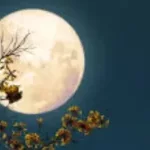 Pleine lune du 1er avril : Bélier, Cancer, Balance… trois signes face à une vague de révélations 