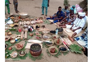 Département du Zou : ce que prédit le Tofâ pour 2026, voici les trois signes apparus 