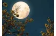 Pleine Lune du mois de juillet 2025 : une impulsion décisive pour ces 03 signes du zodiaque 