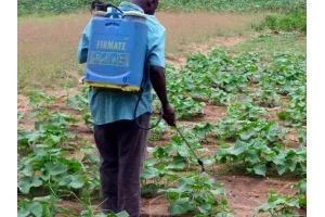 Bénin : L'État stoppe les activités phytosanitaires payantes de ses agents