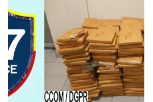 Bénin : 502 plaquettes de chanvre découvertes dans un camion à Malanville 