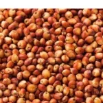  l'ANAN invite les ménages à consommer le sorgho rouge pour une meilleure santé