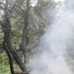 Inde : un deuxième crash d'avion a fait des morts dans les montagnes de l'Himalaya