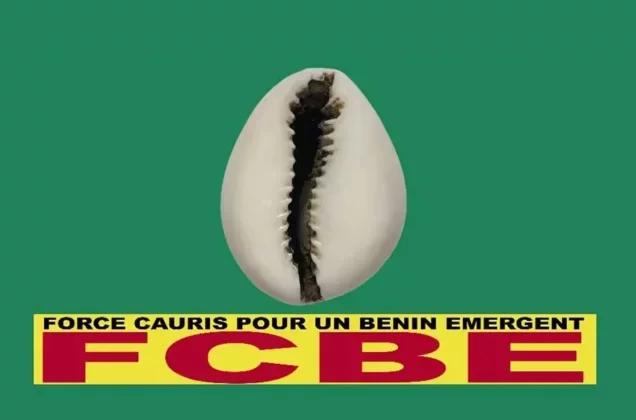 Bénin : le bureau politique de la FCBE juge « incompréhensible » la démission de Paul Hounkpè