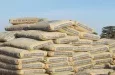 Marché du ciment au Bénin : tout ce qu'il faut savoir sur les prix