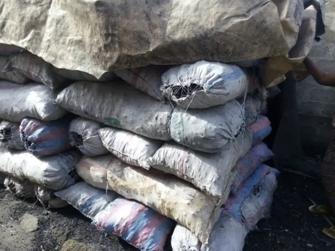 Cotonou : le gouvernement annonce la construction d'un nouveau marché au charbon et de pharmacopée