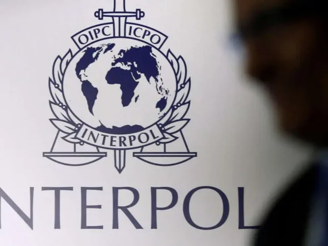 Cybercriminalité en Afrique : 574 suspects interpellés dans 19 pays, le Bénin fortement touché