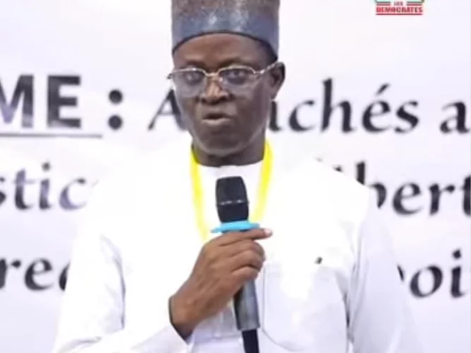 "Les Démocrates" : les premiers mots de Nourénou Atchadé après son élection à la tête du parti 