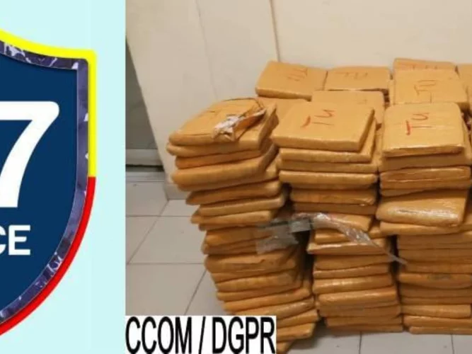 Bénin : 502 plaquettes de chanvre découvertes dans un camion à Malanville 