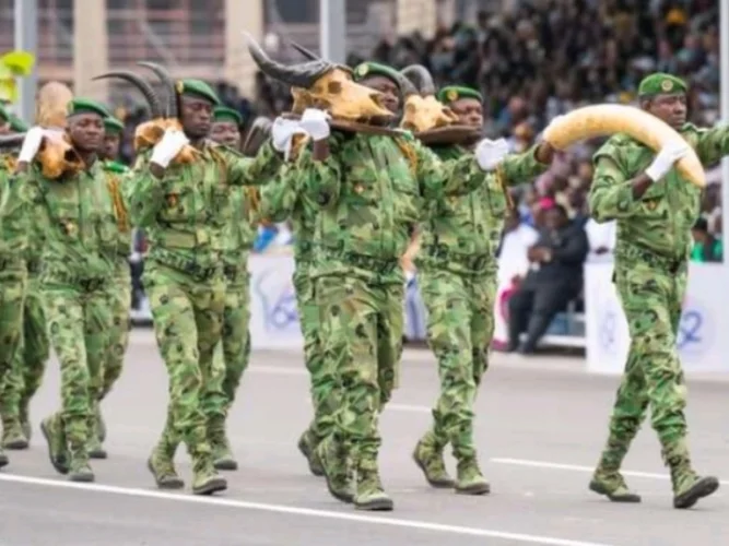 Concours Eaux, Forêts et Chasse : des candidats convoqués pour la phase d'entretien 