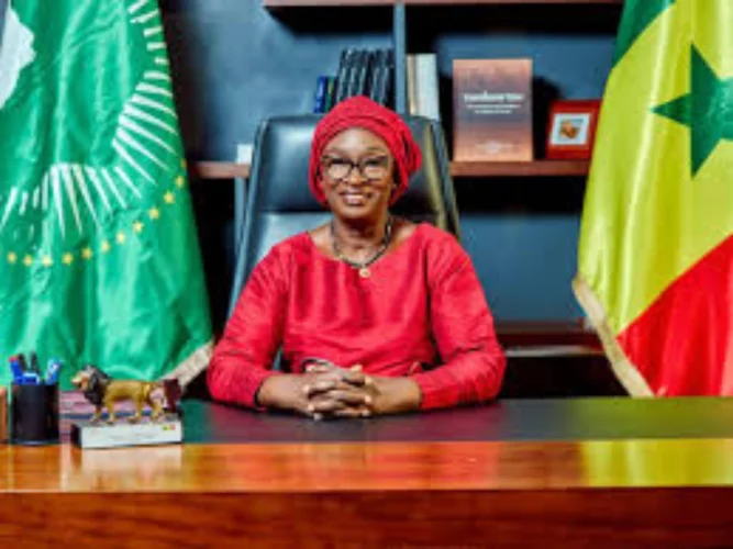 Le Sénégal suspend les extraditions vers la France et exige la réciprocité 