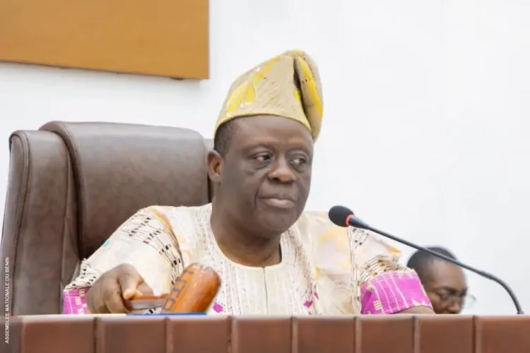 Assemblée nationale : plusieurs accords financiers ratifiés et des lois organiques révisées