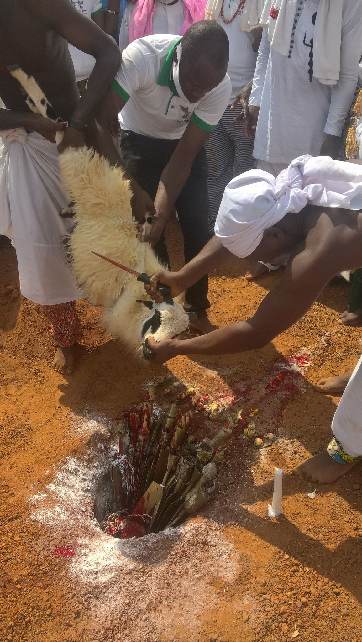 un animal immolé en guise de...