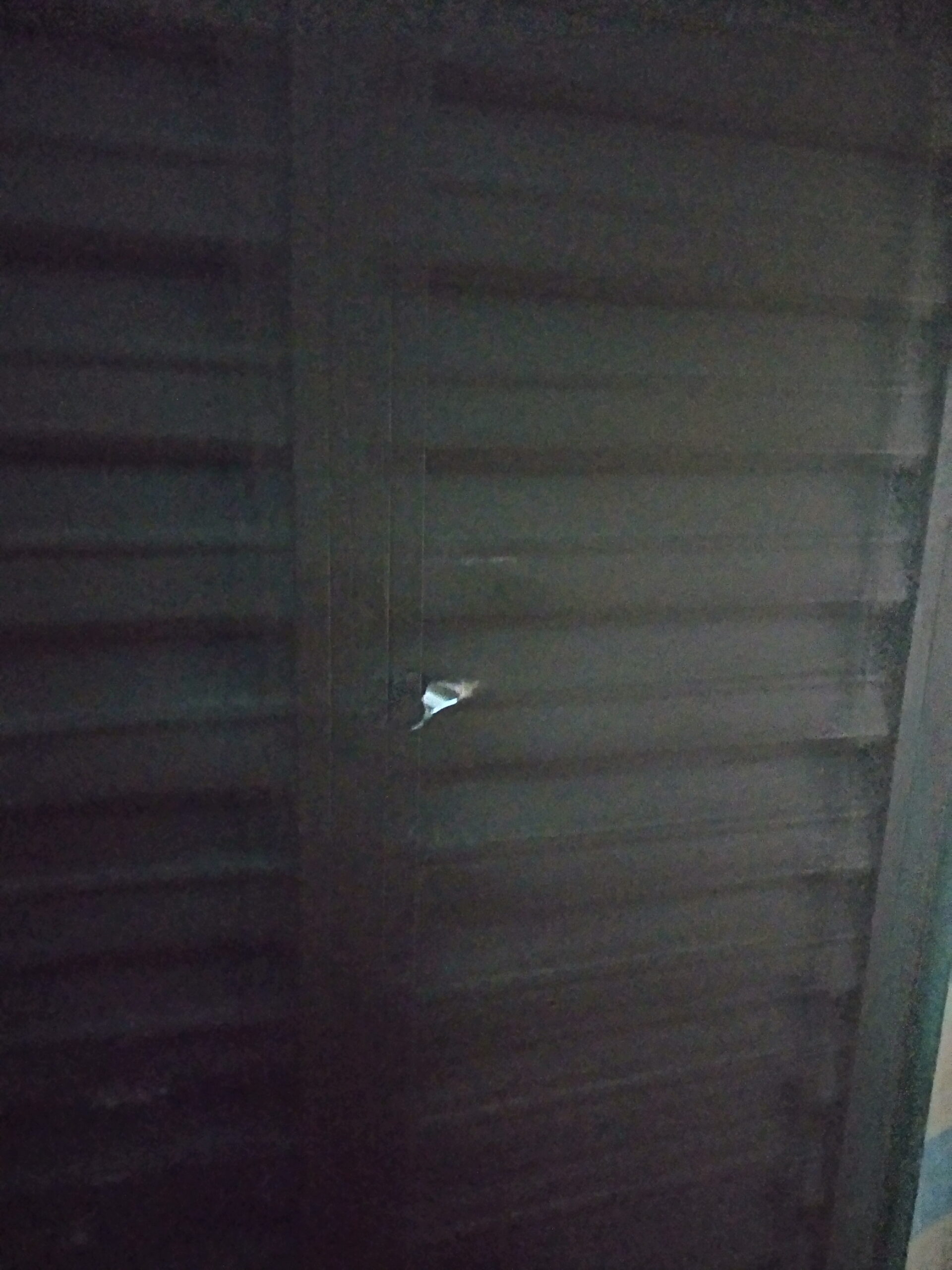 Impact de balles sur la porte métallique de la chambre du ....