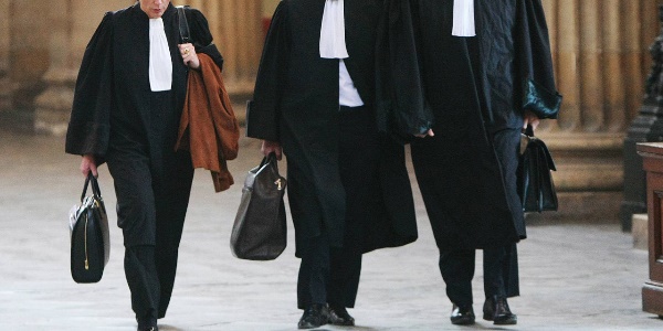 avocat.jpg