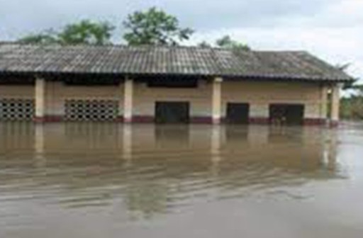 athieme-80284.jpg