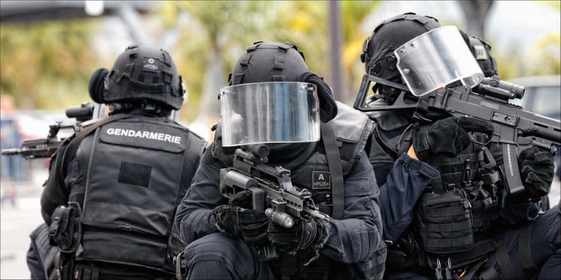 gign.jpg