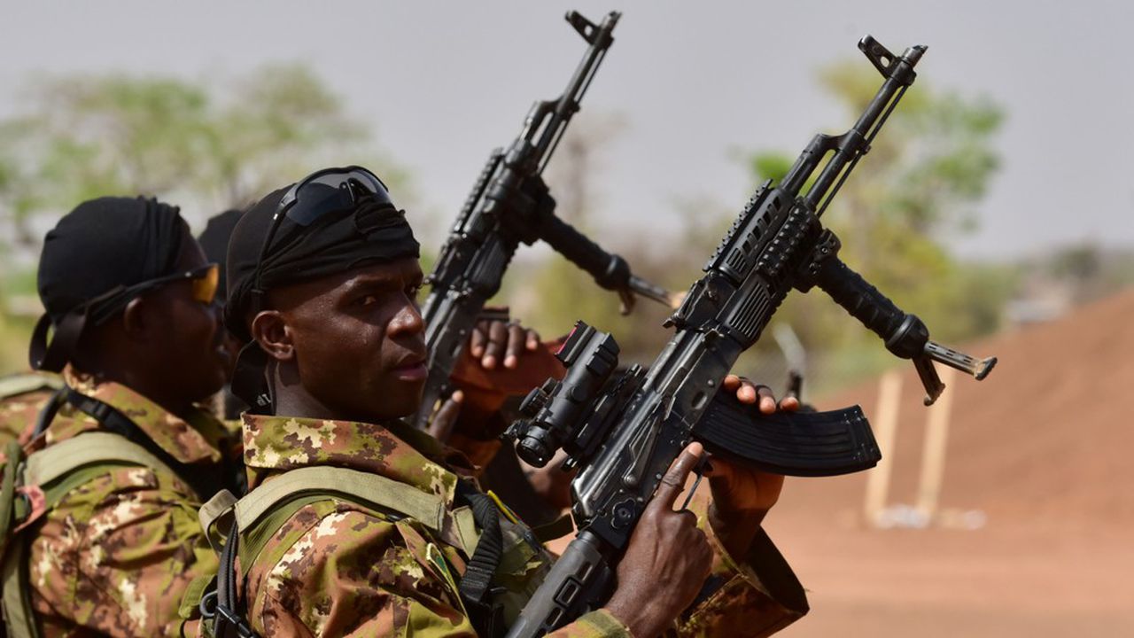 Mali : 03 allemands membres d’une Ong confondus aux terroristes arrêtés lors d’une opération anti-djihadistes à Diabaly