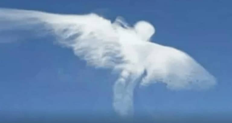 Insolite : Maradona vu au ciel, des semaines après sa mort