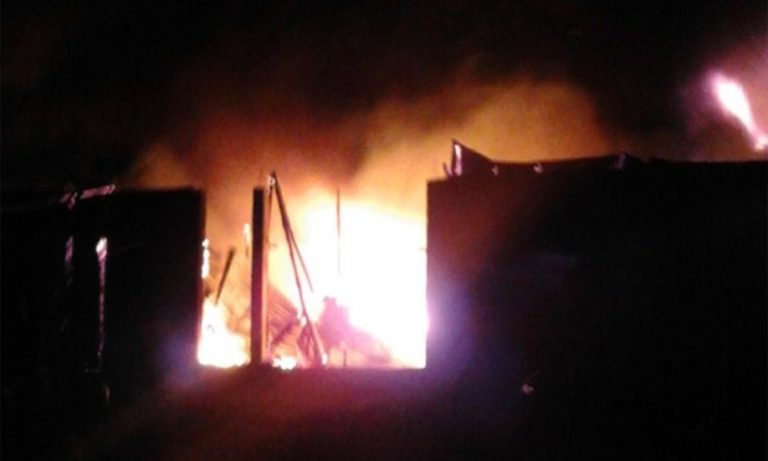 arton6587.jpg