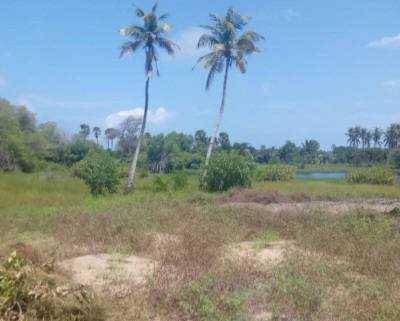 domaine-5-hectares-ouidah-c0a80_1_.jpg