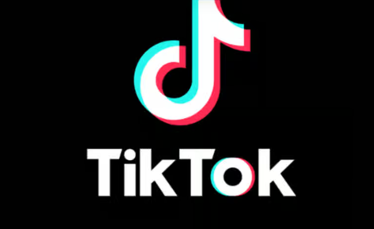 tiktokeur.png
