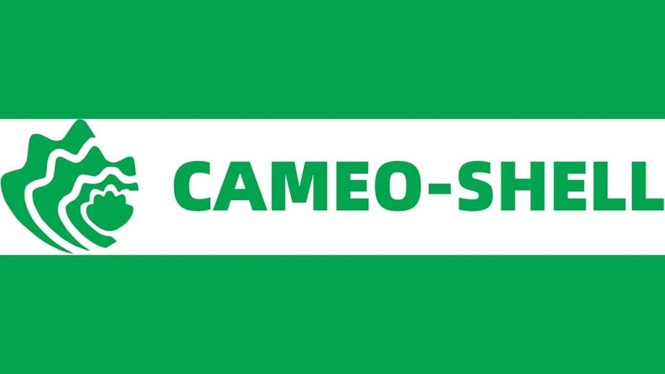 cameo-shell-3.jpg