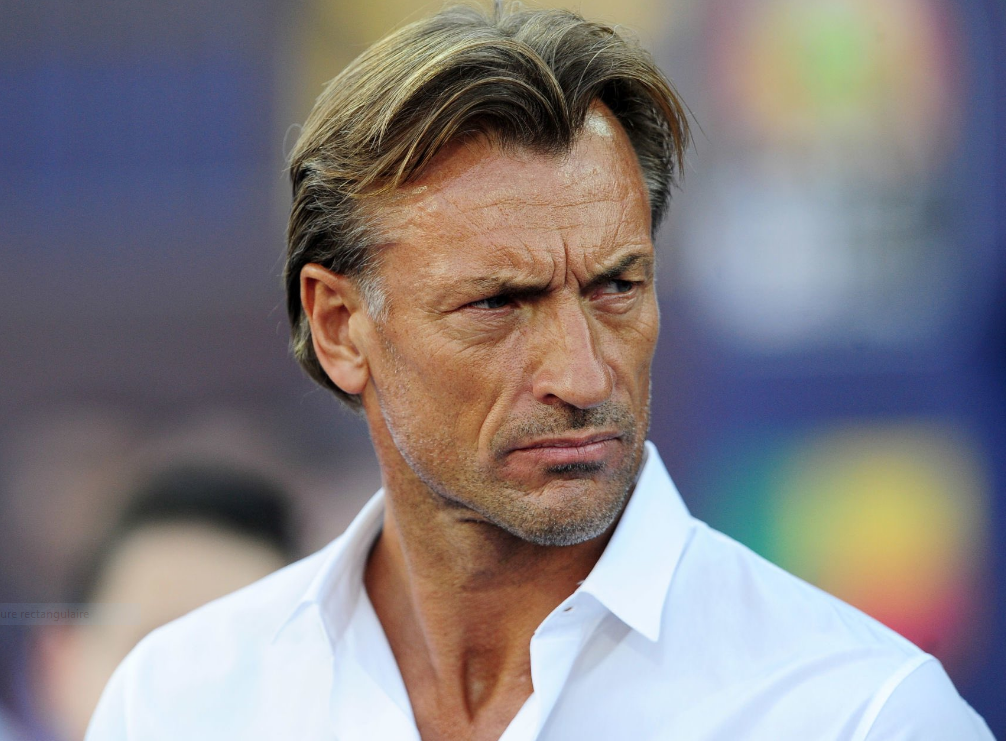 herve_renard.png