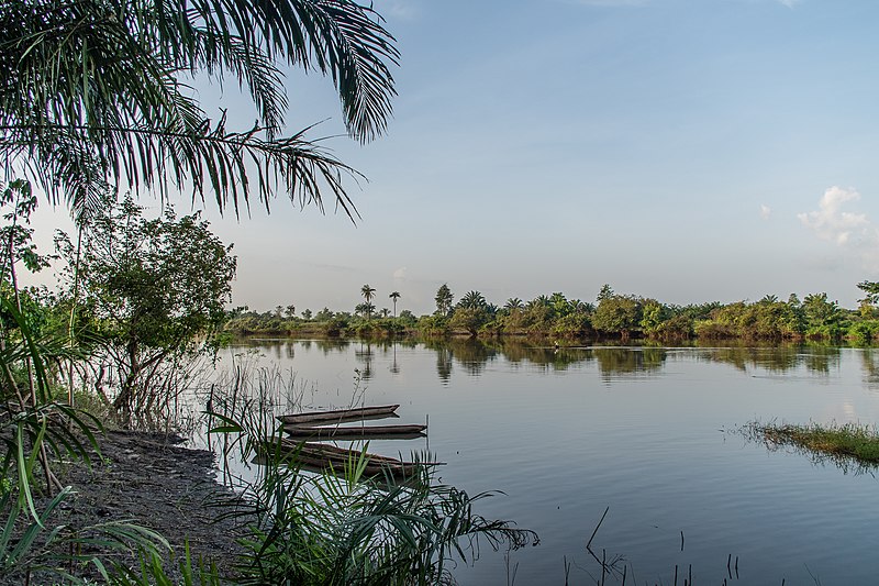 800px-les_rives_du_fleuve_okpara_au_benin.jpg